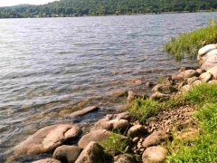 Marion Co Park