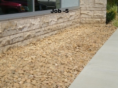 job5
