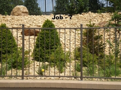 job7
