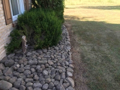 yard trim