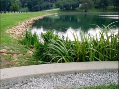 Cobble-Rivergreen 001-1