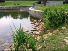 Cobble-Rivergreen 009-1